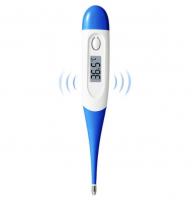 China Fahrenheit Anti Epidemic Products Portable Electronic Clinical Thermometer factory