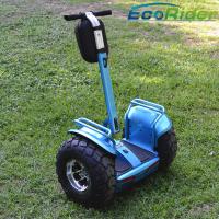 China Electric Personal Transportation Vehicles 19 Inch Tire Free Standing factory