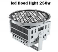 China White CE FCC ROHS Outdoor LED Flood Lights Fixture High Lumen 250W factory