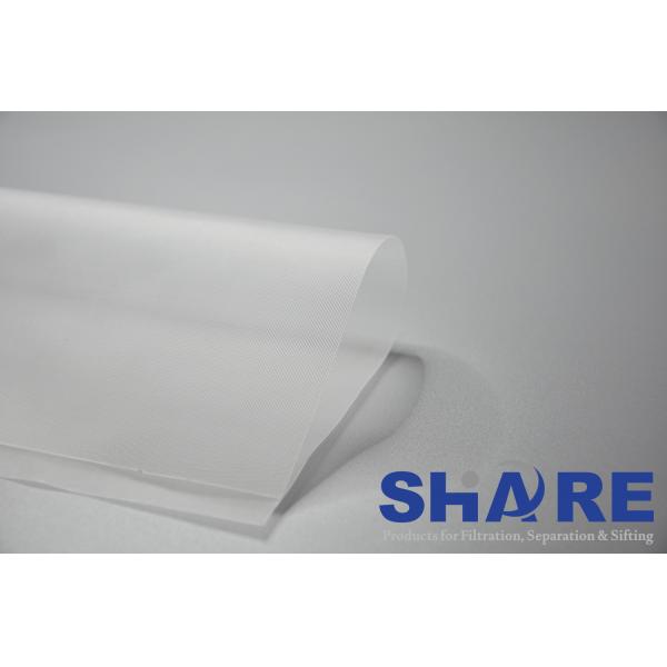 Quality High Tenacity Polyester Filter Mesh DPP10T-250 Plain Weave For Liquid Filtration for sale