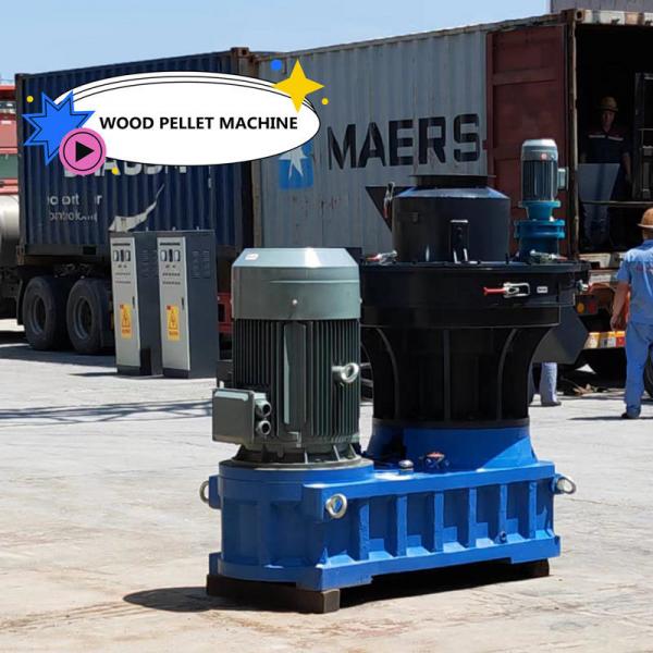 Quality 50HZ Ring Die Wood Pellet Machine 3Phase Vertical Pellet Making Machine 450-700mm for sale