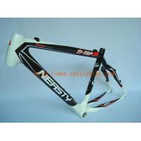 China MB-NT102 bicycle parts carbon frame carbon cycling MTB frame(white) factory