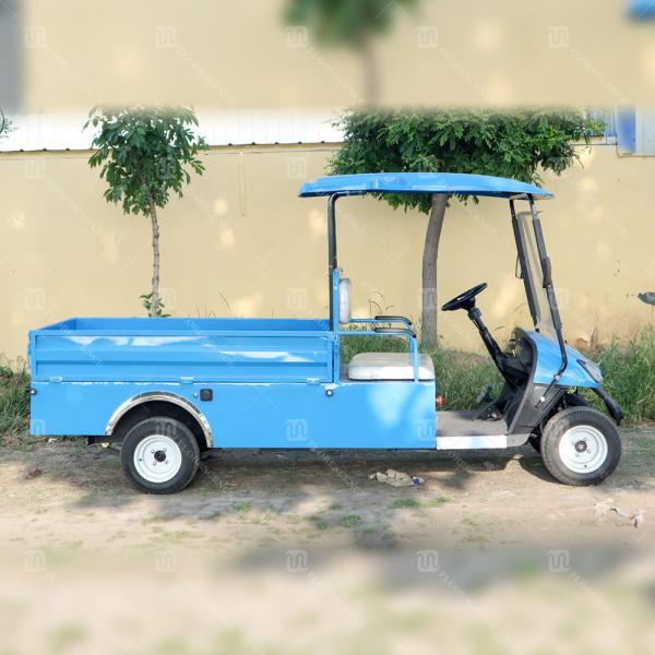 Quality 2 Seater Electric Carryall Golf Cart Heavy Duty ODM for sale