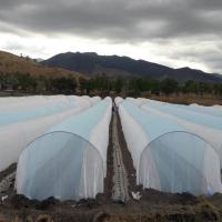 China Dyed Pattern Agriculture Non Woven Cover Virgin Spnbond Macro Tunel Width 6.4m factory