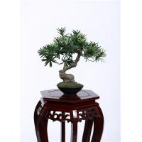 China 28cm Bonsai Pine Tree 100% Botanically Accurate Structure Traditionally Bright Spot factory