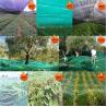 China Ripe season olive collection olives harvest nets for farms factory