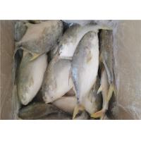 Quality Fresh Frozen Seafood for sale