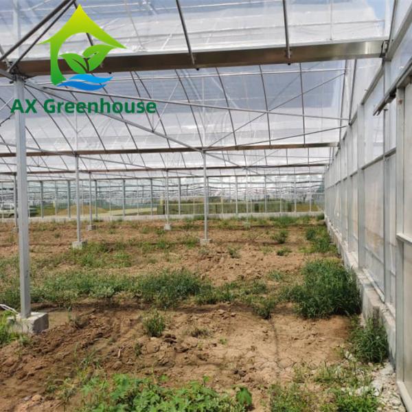 Quality ODM Transparent Polycarbonate Plastic Film Greenhouse Side Top Ventilation for sale