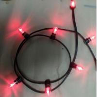 China 12v low power led clip light 100m/roll christmas lights led string Lights red rice strings 666 bulbs for sale