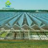 Quality ODM Industrial Agricultural Glass Greenhouse for sale