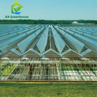 Quality Agricultural Glass Greenhouse for sale