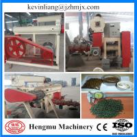 China Hengmu a well-known brand floating fish food pellet production line with CE approved for sale