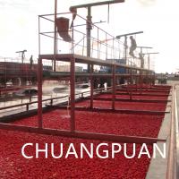 China 36-38% Tomato Paste Brix Tomato Paste Production Line with Automatic Evaporator System factory