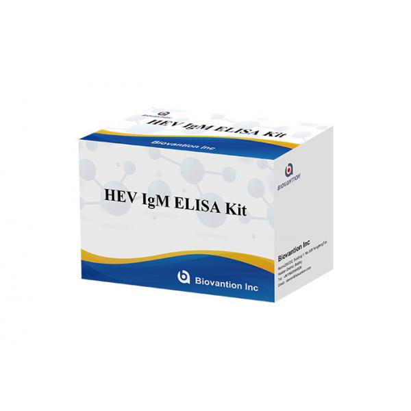 Quality HEV IgM Elisa Test Kit Serum Vs Plasma For Antibody Detection for sale