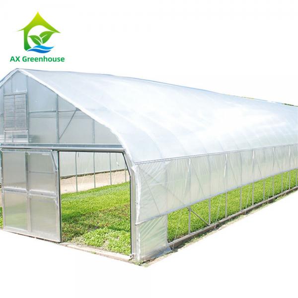 Quality 26ft Width Single Span Pipe Framed Greenhouse Anti UV Film High Tunnel Greenhouse for sale
