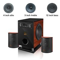 China 200 Watts RMS 2.1 Channel Home Theater Sound Systems 12 Inch Subwoofer factory