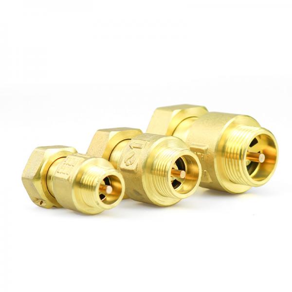 Quality Single Port One Way  Check Valve Female X Male Anti Air Rotation for sale