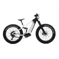 China Alloy Suspension Frame Fat Tire Bike , Pedal Assist Fat Bike Mid Drive Motor for sale
