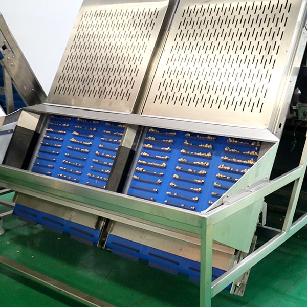 Quality 1 Ton High Capacity Pistachio Nuts Sorting Machine Stainless Steel for sale