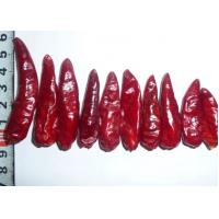 China Sichuan Red Bullet Chilli Stemless Dried Hot Chili Peppers GMP factory