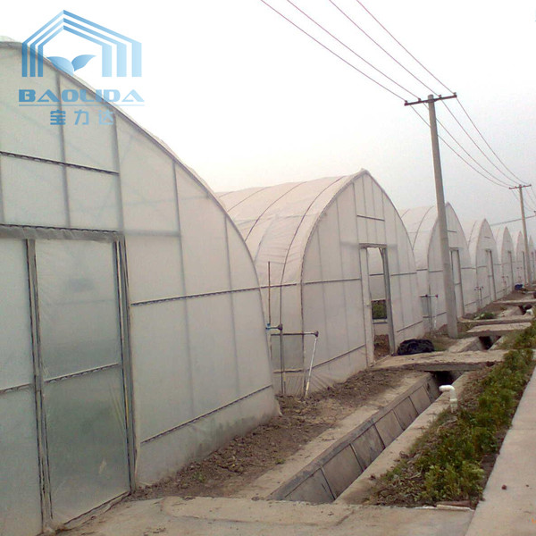 Quality Tropical Plastic Film Cross Top Sawtooth Greenhouse Single Span Tunnel Plastic Greenhouse for sale