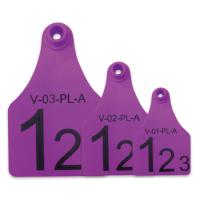 China Purple Re - use Male Electronic Ear Tags For Divisional Management Of Animals factory