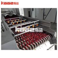 China Industrial Fresh Vegetable Fruits Cleaning Drying Processing Machinery Dry Dates Machine factory