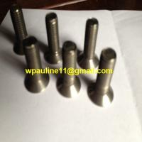 China EN 1.4541 flat head countersunk socket screw for sale