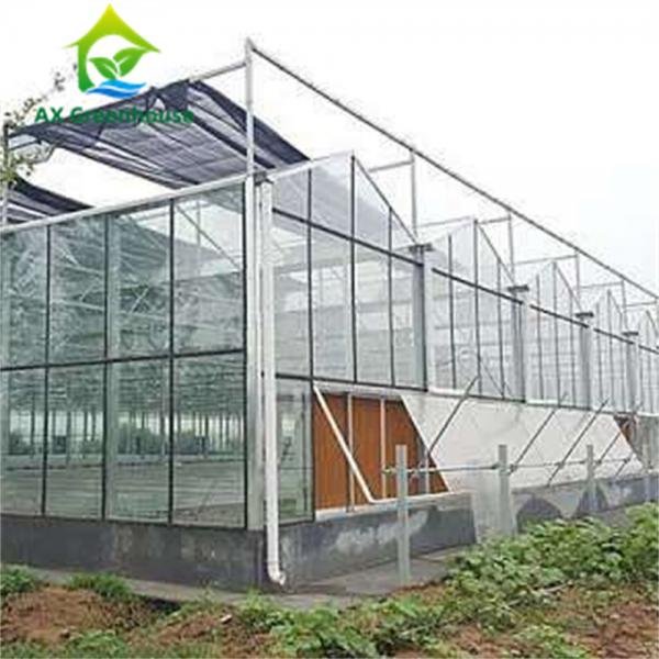 Quality Triangle Roof Agricultural Glass Greenhouse 9.6m Width Winter Lettuce Greenhouse for sale