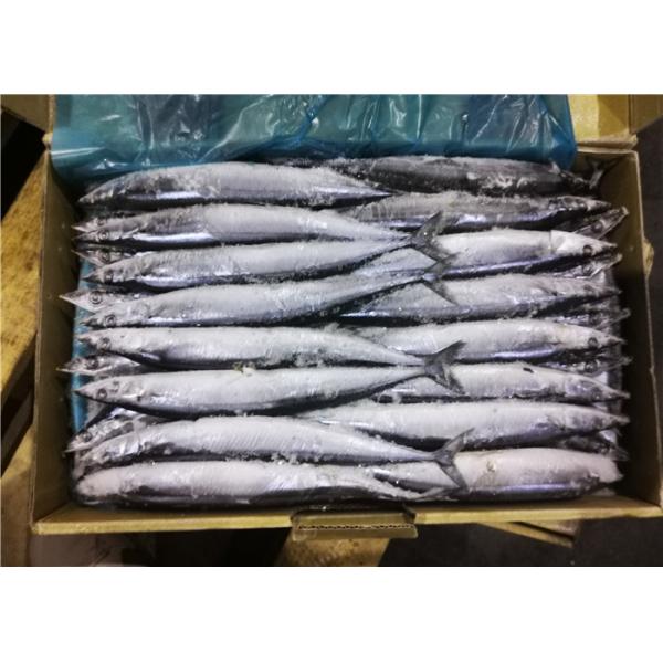 Quality 60g 70g Bulk #1 High Protein Frozen Pacific Saury for sale