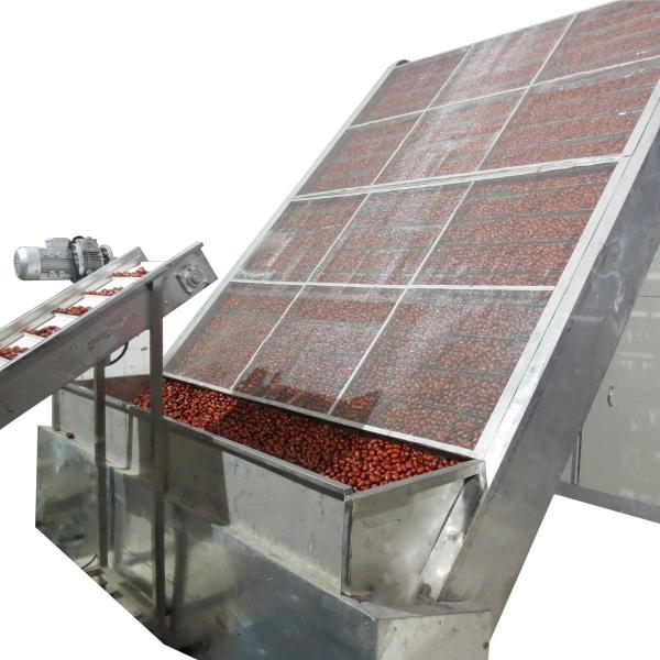 Quality HengShou PLC 1840mm Belt Drying System For Pepper Preset Thermostatical Control for sale