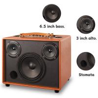 Quality OEM Portable Wooden Speaker 60W Bluetooth Speaker With Microphone for sale