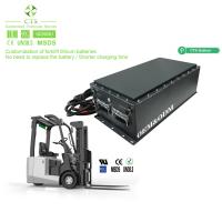China CTS Electric Vehicle ATV AGV Lifepo4 Lithium Ion Battery Pack 24v 48v 80v With BMS for sale