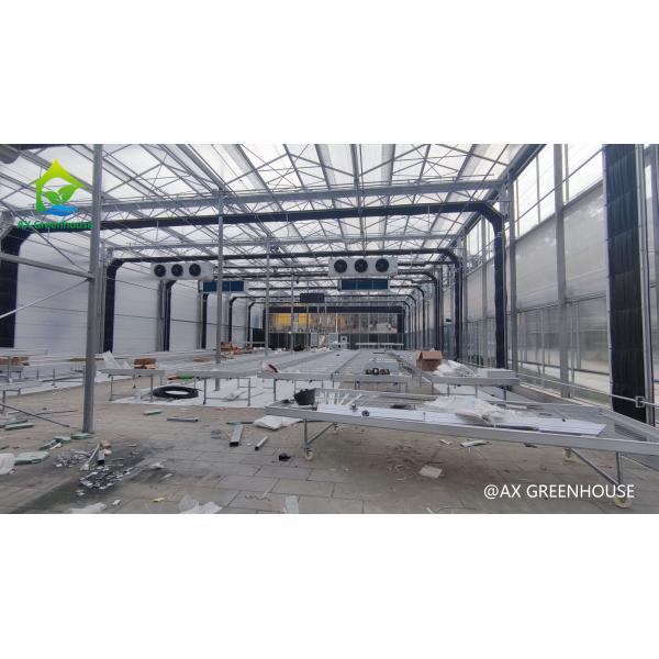 Quality Hot Galvanized Steel Commercial Light Deprivation Greenhouse for Hemp Cultivatio for sale