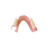 Quality High Definition PFM Bridge Dental Colour Stability Smooth Surface for sale