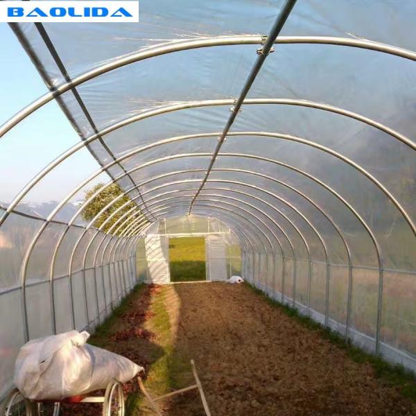Quality Agricultural Plastic Film Greenhouse Large Size High Latitude Area Ecological for sale