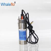 China Whaleflo stainless steel 12v 24v dc solar powered swimming pool pumps factory