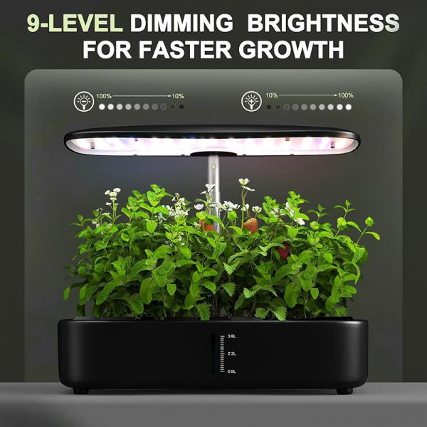 Quality 24W Indoor Herb Garden Plants Germination Kit 12 Pods with Automatic Timer for sale