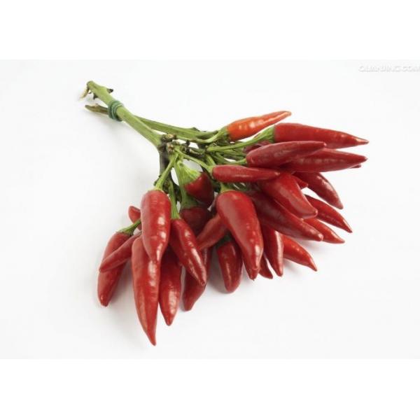 Quality Chaotian Hot Pot Chilli Dehydrated Whole Dried Red Chili Peppers for sale