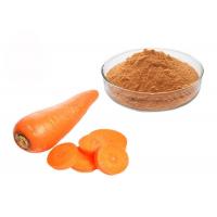 China 10:1 Dried Carrot Vegetable Extract Powder For Concentrate Juice factory