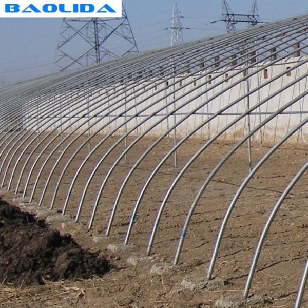 Quality Tunnel Agriculture 8m Greenhouse Plastic Film Polyethylene Film Greenhouse for sale