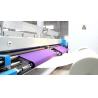 China Heavy Duty Industrial Embroidery Machines , Digital Sewing Machine For Car Cushions factory