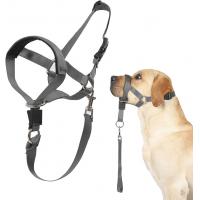 China Dog Head Collar No Pull Training Tool For Dogs On Walks Includes Free Training Guide factory