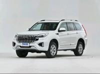 China 2.0T GHAVEL H9 2022asoline Four-Wheel-Drive Gasoline Car middle-Large Size SUV factory