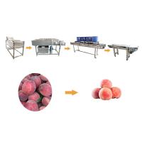 china Hot selling Root Vegetables Cleaning Machine With Factory Price by Huafood