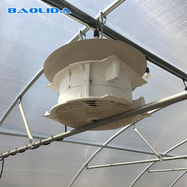 Quality Vegetables Plant Polyethylene Film Greenhouse With Cooling System Easy Install for sale