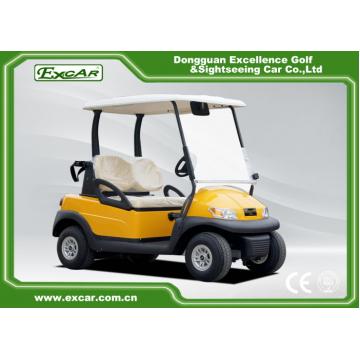 Quality Electric Powered 2 Seats Golf Carts With Curtis Controller 48V 275A for sale