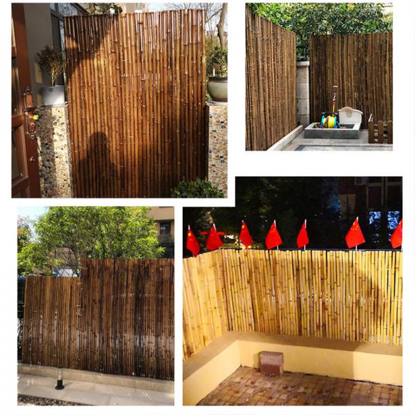 Quality Natural Bamboo Material Painted Bamboo Fence Panels Rolled Bamboo Fence Privacy for sale