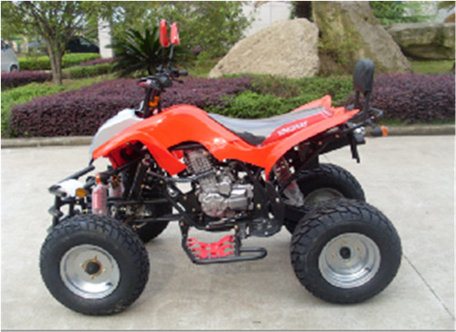 China 200cc,250cc ATV with EEC certification,4-Stroke,automatic with reverse.Good quality factory
