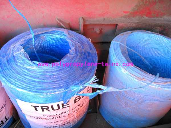 Quality 22500D Polypropylene Tying Twine for sale